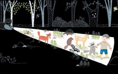 Wordless Books Create a Magical Imaginative World for Children and Families